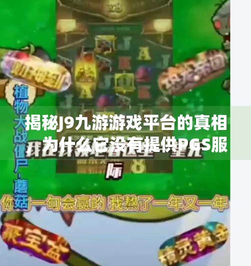 揭秘J9九游游戏平台的真相，为什么它没有提供PGS服务？j9九游没有pgs
