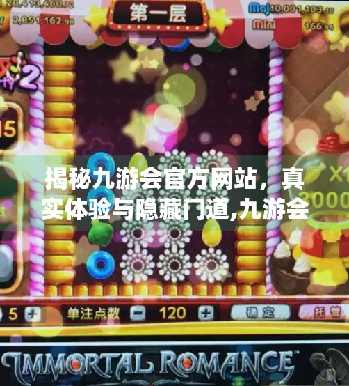 揭秘九游会官方网站，真实体验与隐藏门道,九游会官方j9