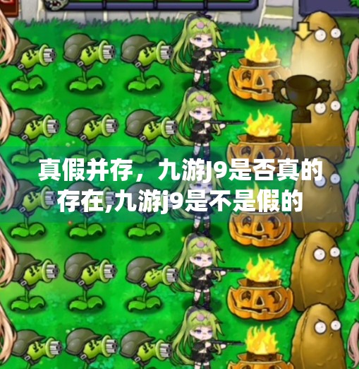 真假并存，九游J9是否真的存在,九游j9是不是假的