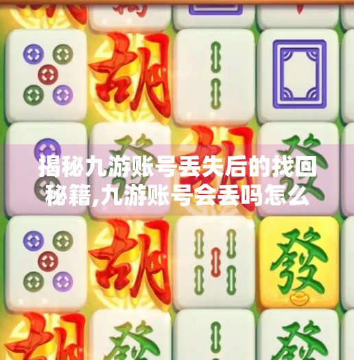 揭秘九游账号丢失后的找回秘籍,九游账号会丢吗怎么找回