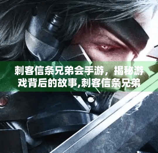 刺客信条兄弟会手游,揭秘游戏背后的故事,刺客信条兄弟会手游九游 刺客信条兄弟会手游,揭秘游戏背后的故事,刺客信条兄弟会手游九游