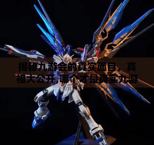 揭秘九游会的真实面目，真相大公开,哪个才是真实九游会