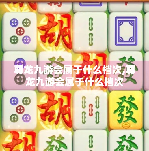 尊龙九游会属于什么档次,尊龙九游会属于什么档次 尊龙九游会属于什么档次,尊龙九游会属于什么档次