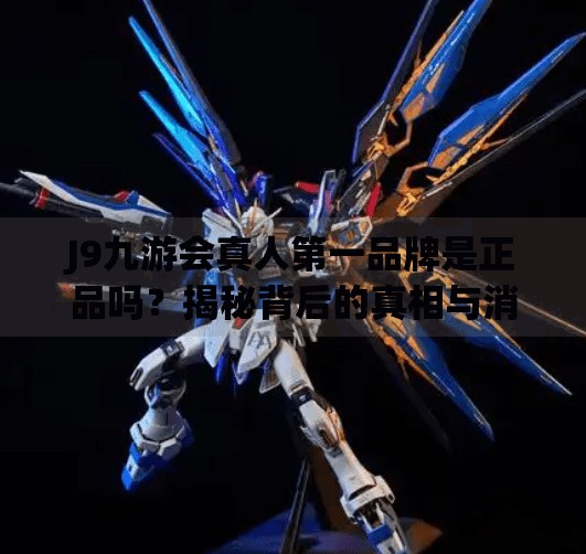 J9九游会真人第一品牌是正品吗？揭秘背后的真相与消费者避坑指南,j9九游会真人第一品牌是正品吗
