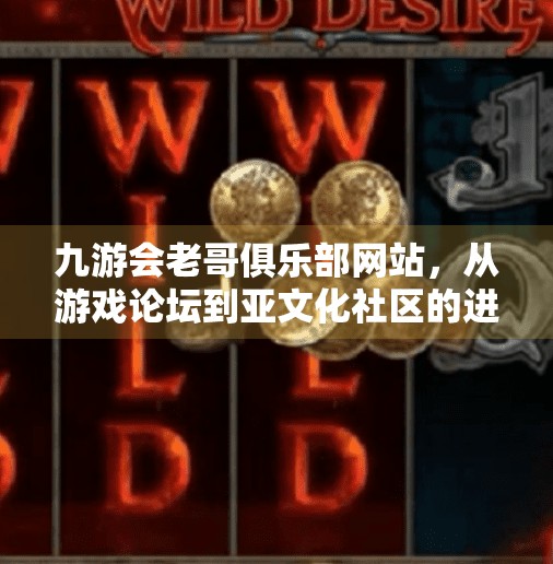 九游会老哥俱乐部网站，从游戏论坛到亚文化社区的进化之路,九游会老哥俱乐部网站